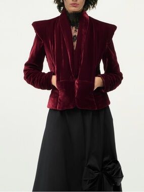 Zara Burgundy Velvet Jacket